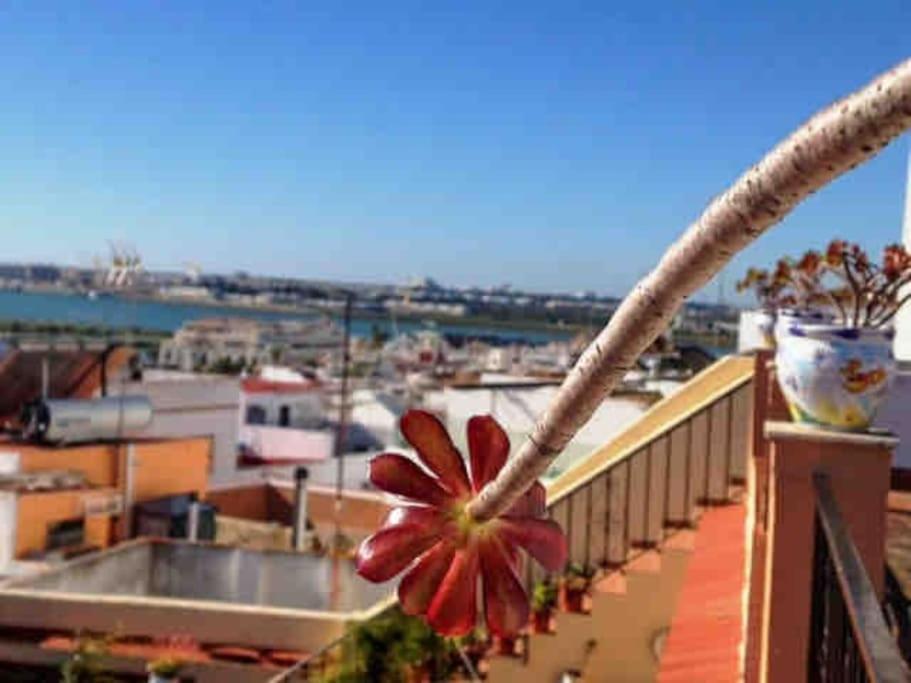 “Flor De Sal” Charming Traditional Andalusian House Ayamonte Kültér fotó