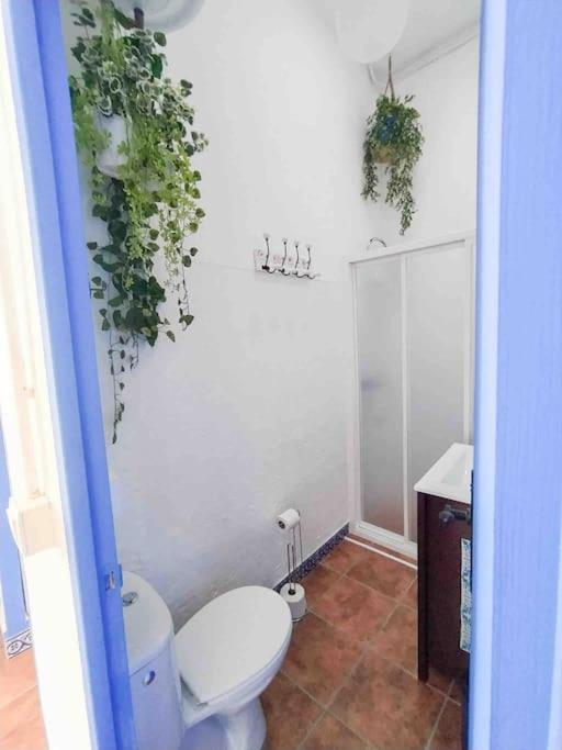 “Flor De Sal” Charming Traditional Andalusian House Ayamonte Kültér fotó